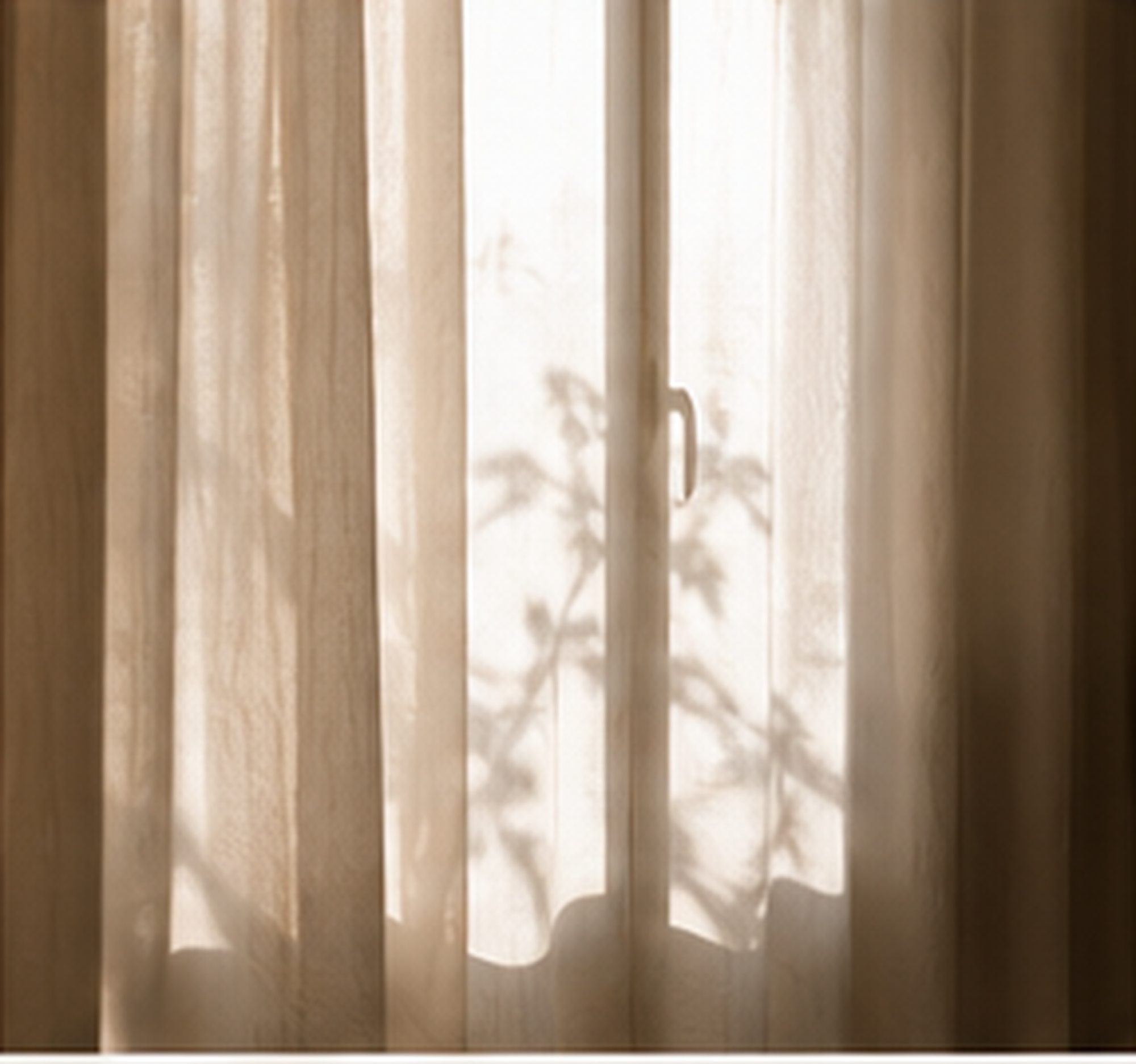 Soft daylight falling across a quiet room