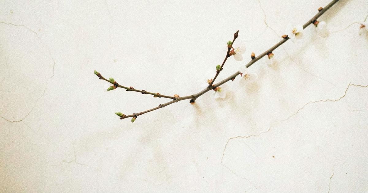 Cover art for the poem “Haiku I”
